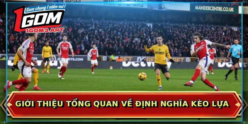 Giới thiệu tổng quan về định nghĩa kèo lựa